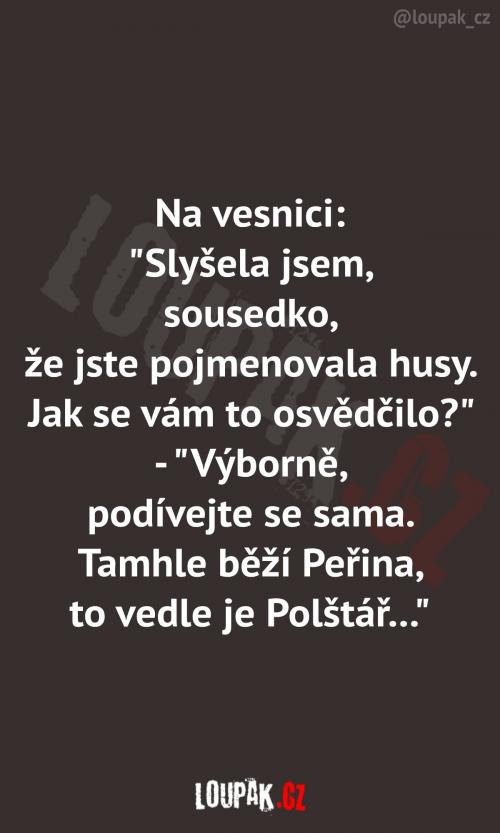  Jsem jediný, koho zajímá jak se jmenuje 3. husa? 