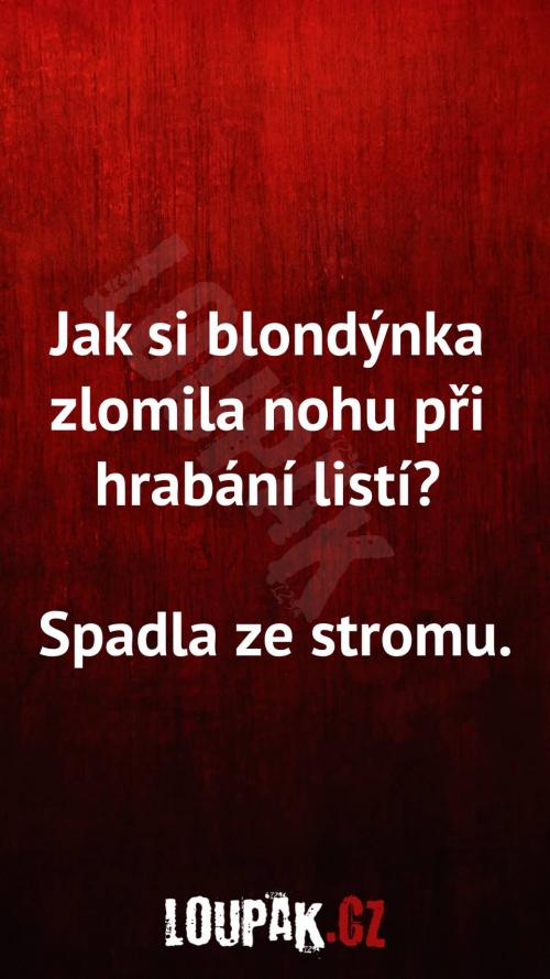  Jak si blondýnka zlomila nohu při hrabání listí 