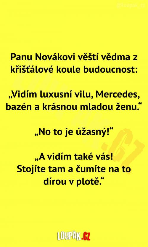 Pan Novák a jeho budoucnost