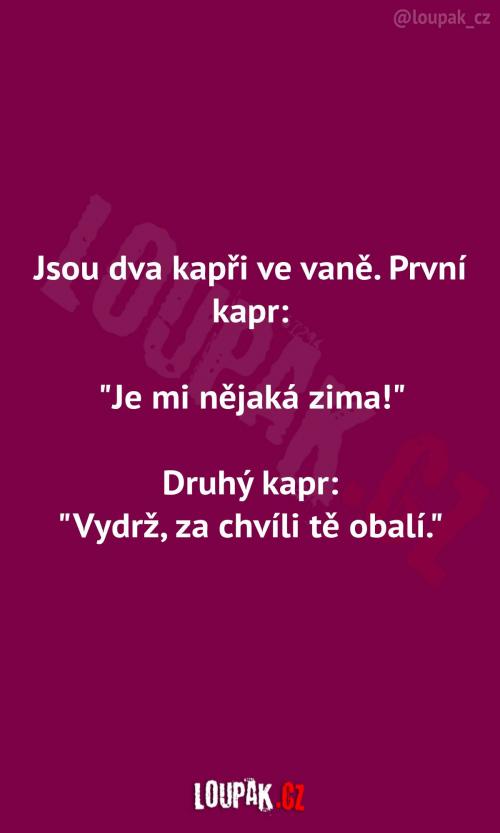  Dva kapři v jedné vaně 