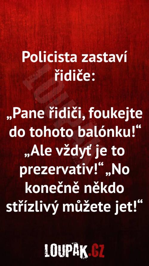  Proč policista zastaví rodiče 