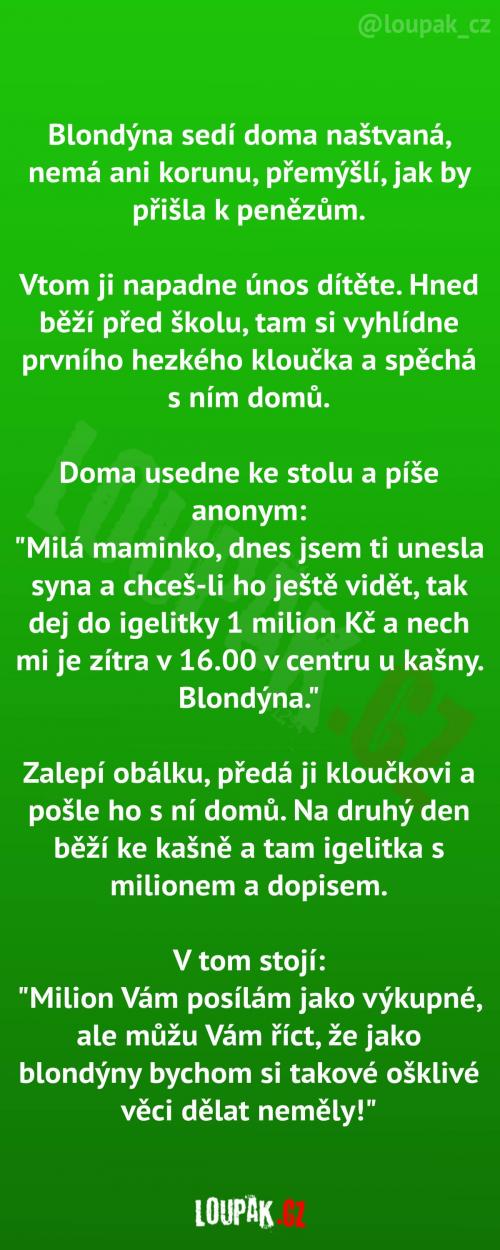  Když jedna blondýnka unese druhé dítě 