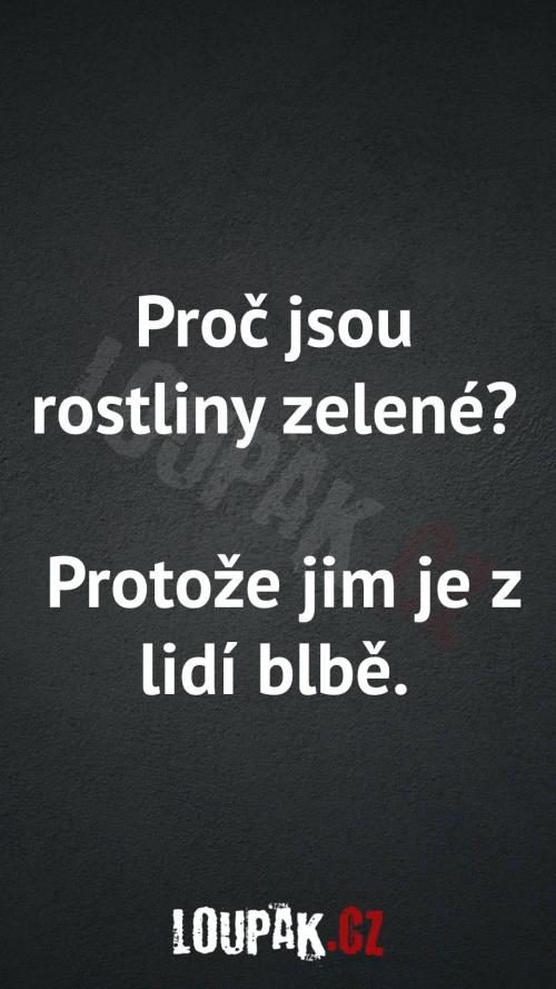  Proč jsou rostliny zelené 