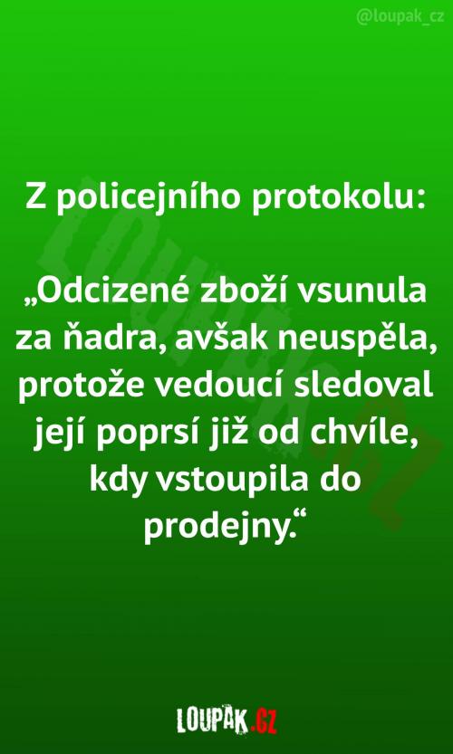  Něco málo z policejního protokolu 