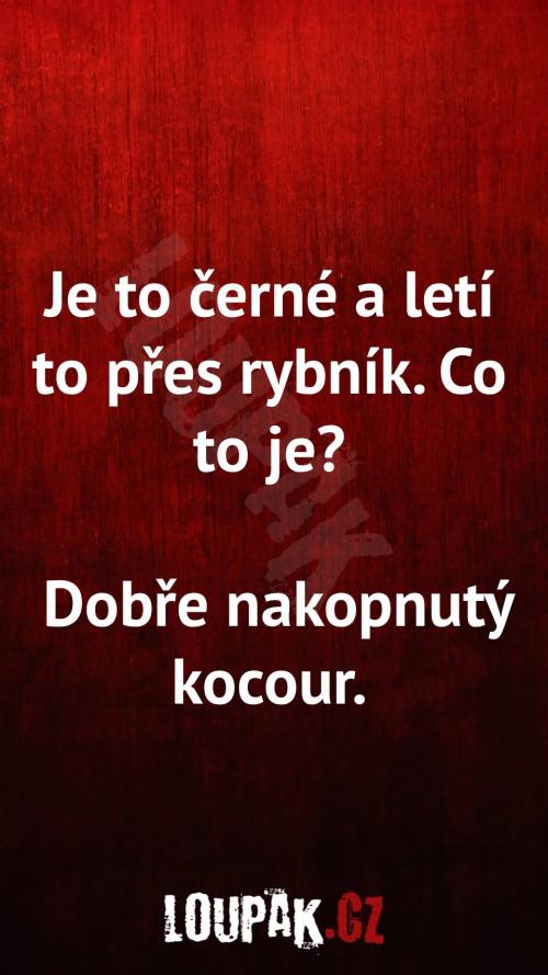  Je to černé a letí to přes rybník, co je to 