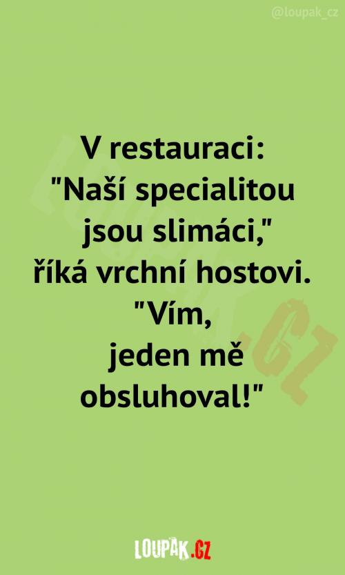 To byl asi nějaký jiný druh To byl asi nějaký jiný druh