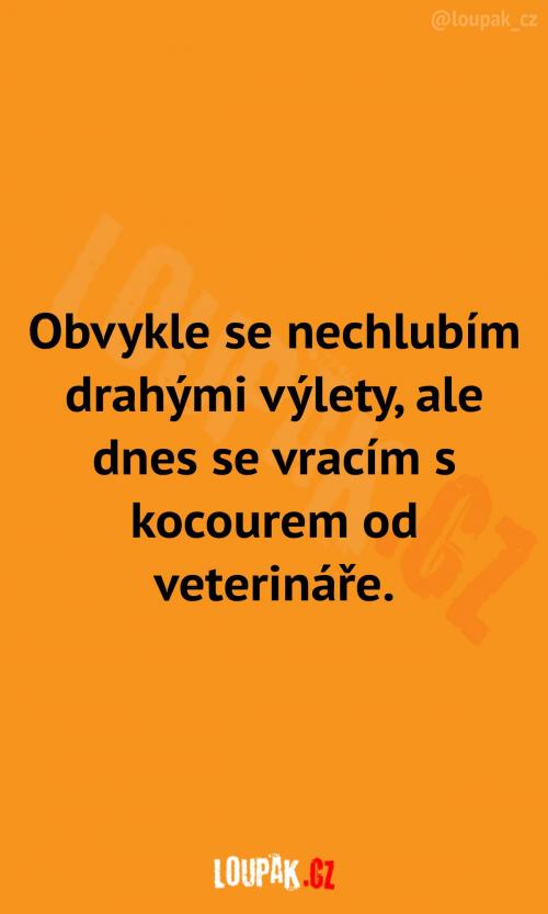 Můj dnešní drahý výlet