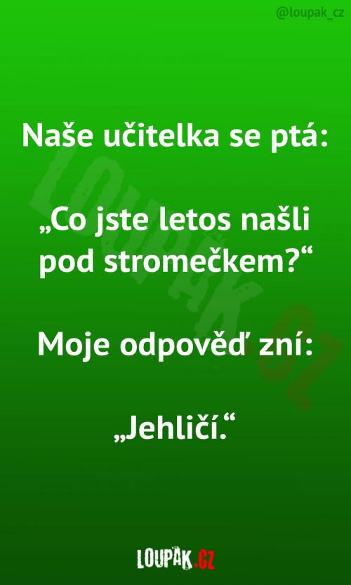  Co letos děti našly pod stromečkem? 