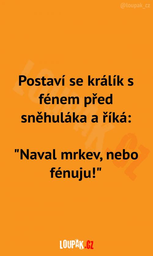 Králík se silnou zbraní Králík se silnou zbraní