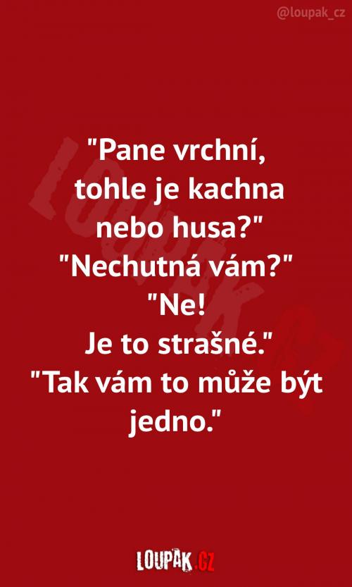  Host si stěžuje v restauraci: 