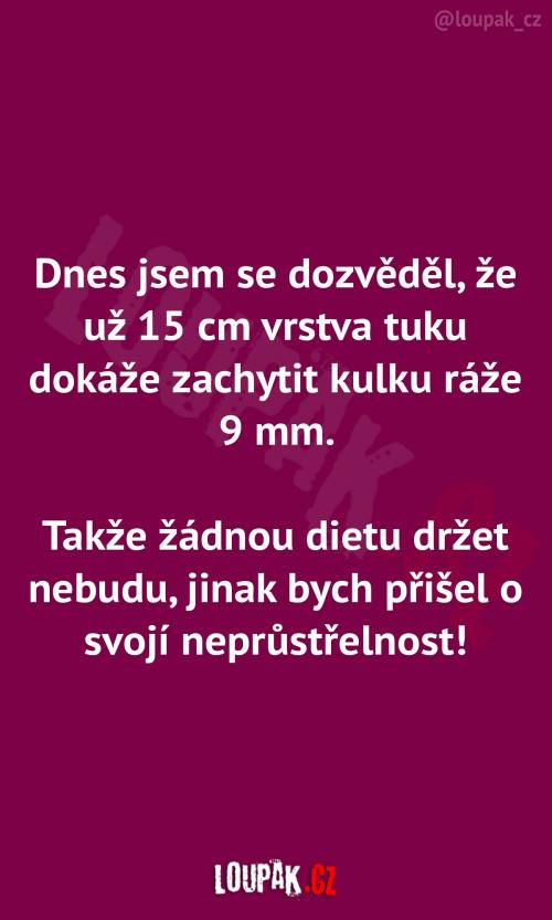 Ochrana proti střelbě Ochrana proti střelbě