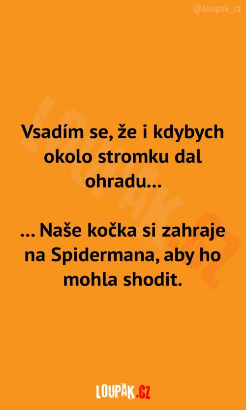  Kočka by si stejně poradila 
