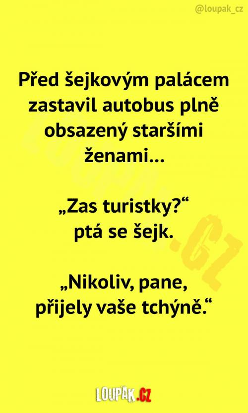 Autobus před šejkovým palácem Autobus před šejkovým palácem