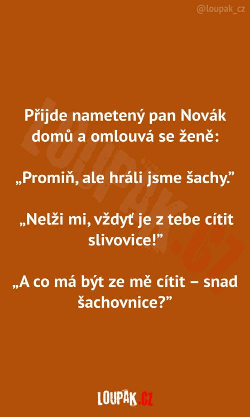  Nametený pan Novák   