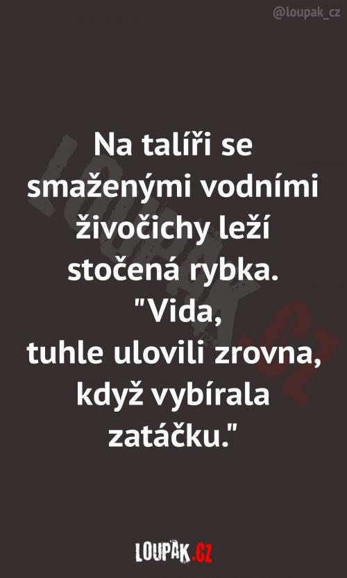  Tak aspoň měl pán radost. 