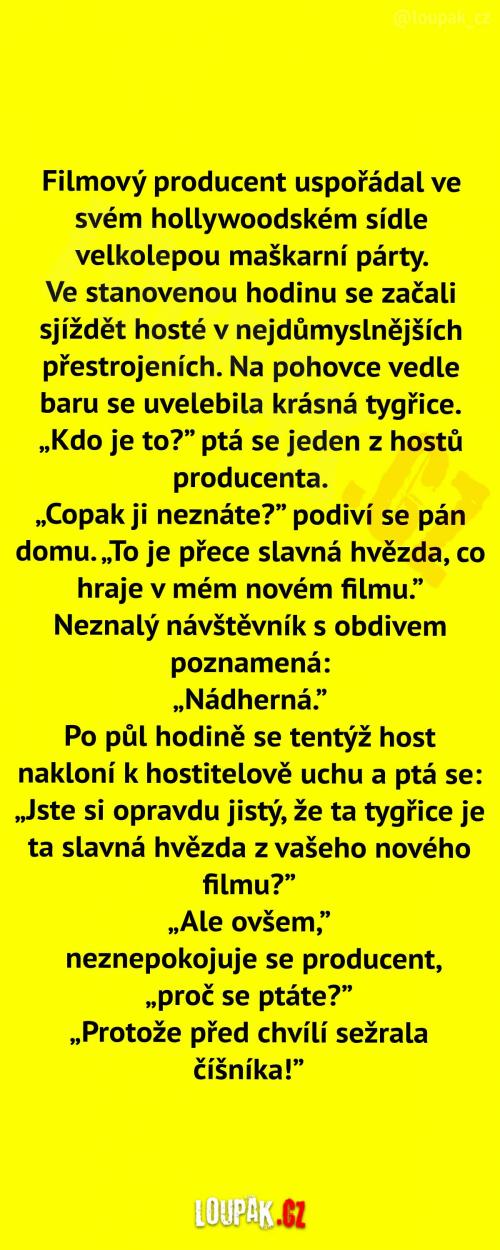 Velkolepá maškarní party Velkolepá maškarní party
