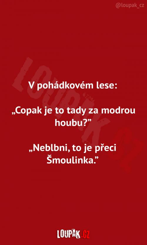 Cesta pohádkovým lesem Cesta pohádkovým lesem