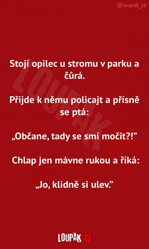Opilec u stromy... Opilec u stromy...