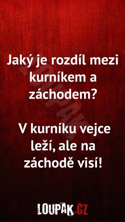 Rozdíl mezi kurníkem a záchodem