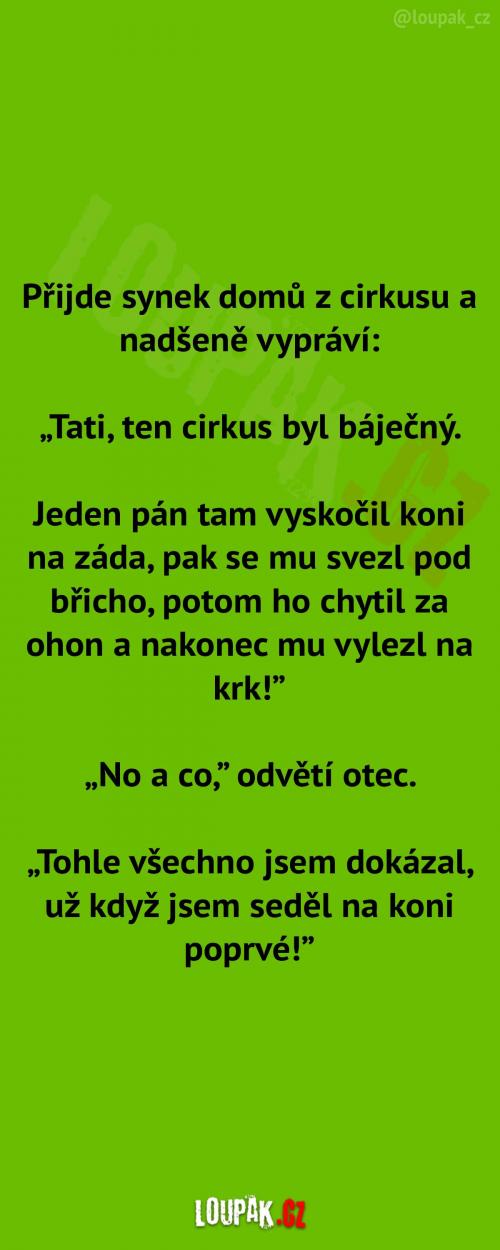 Synek v cirkusu...  