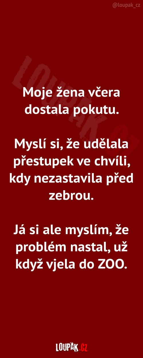 Proč dostala žena pokutu Proč dostala žena pokutu