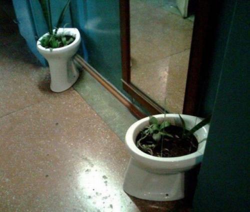  Záchodový květináč 