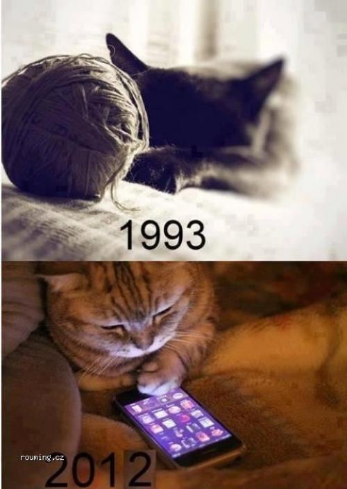 Kočky se mění