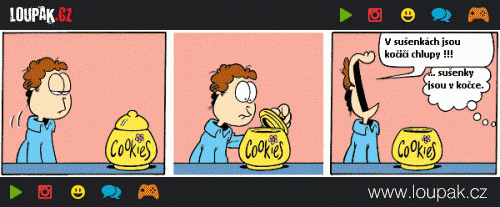  Sušenky - Garfield 