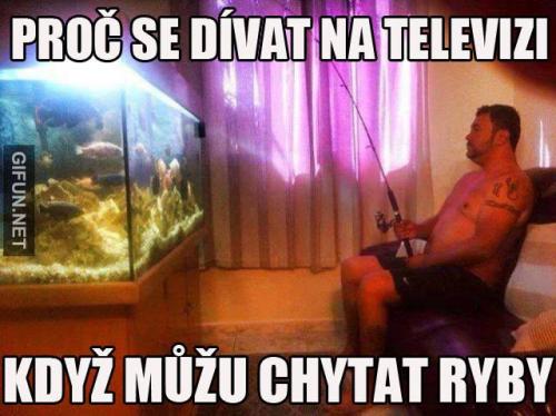 Televize vs. ryby