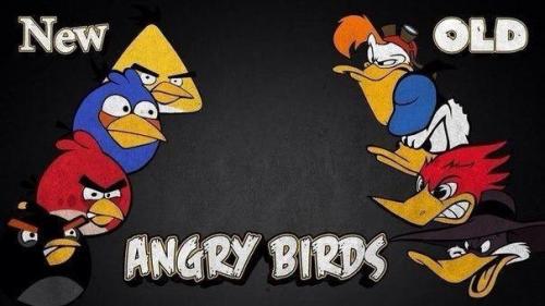  Angry birds 
