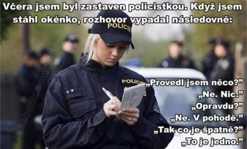 Policistky