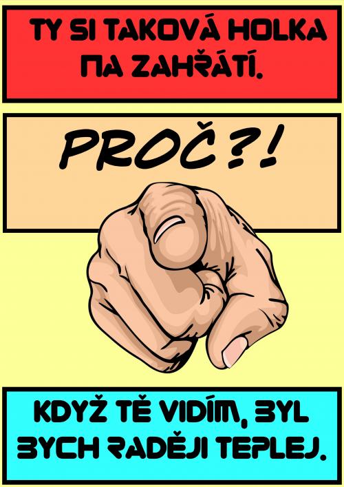 PROČ