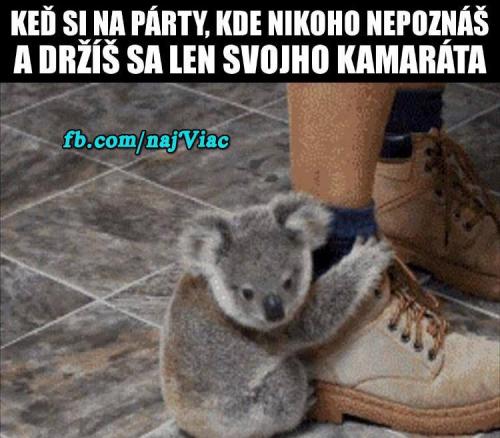  Na party bez přátel 