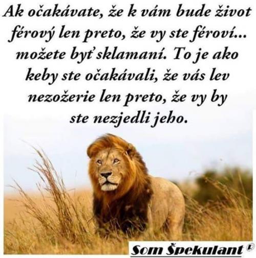  Život 