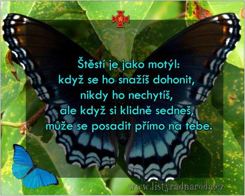  Motýl 