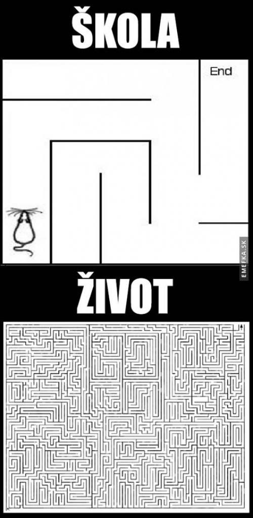  Škola vs. život 