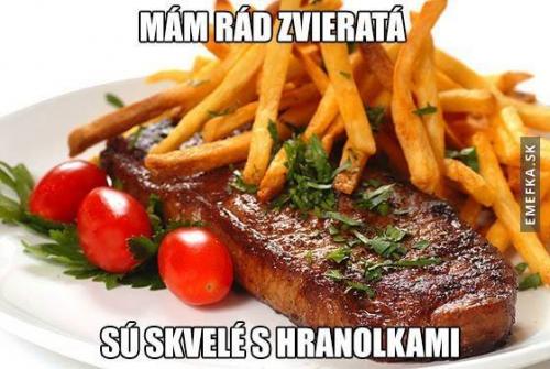  Zvířata 