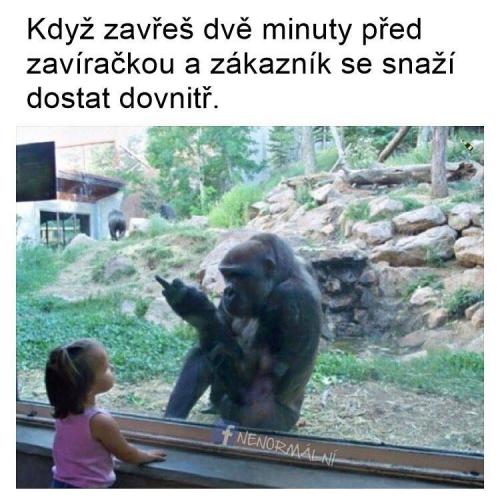  Když je před zavíračkou 