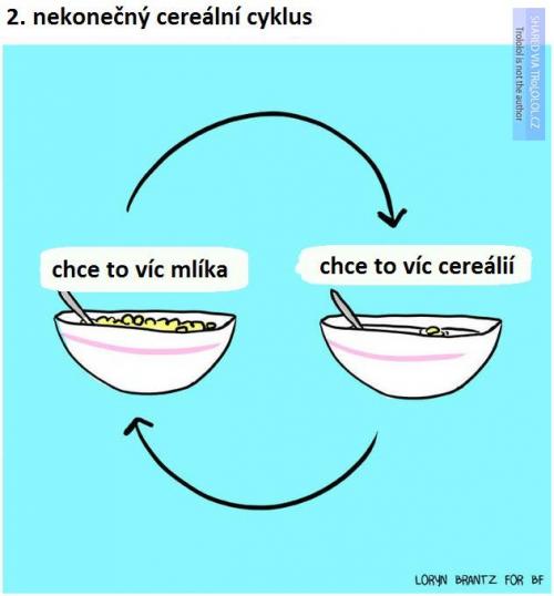  Cereální cyklus 