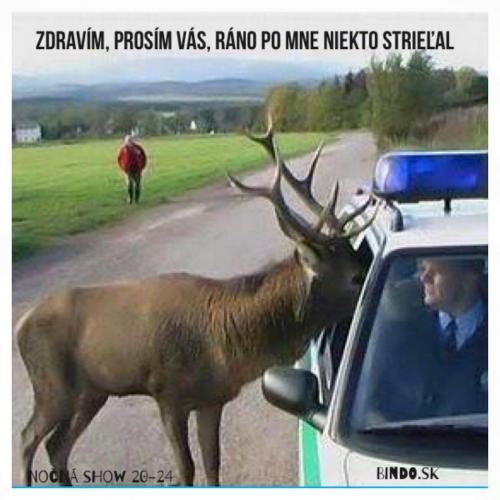 Zdravím