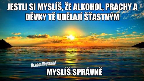  myslíš správně 