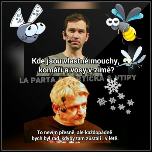  Komáři v zimě 