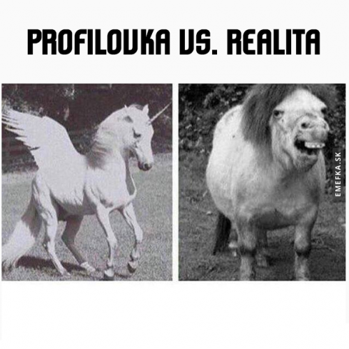 Profilovka vs. realita