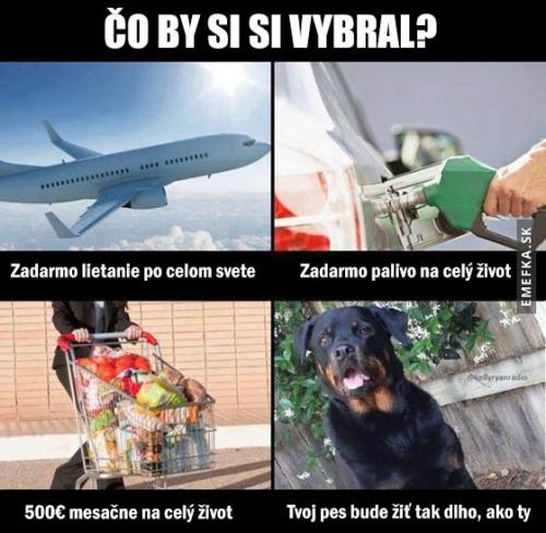 Co by sis vybral ty?