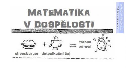  Matematika v dospělosti 