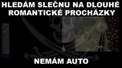  Hledání 