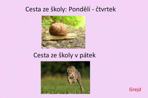  Cesta ze školy 