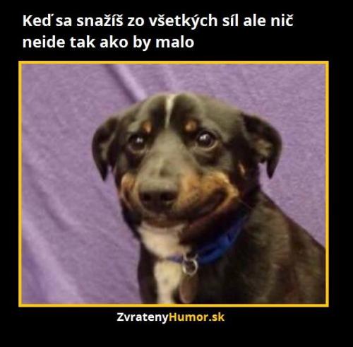  Když se fakt snažíš 