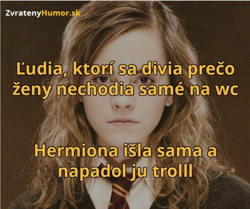  Hermiona 