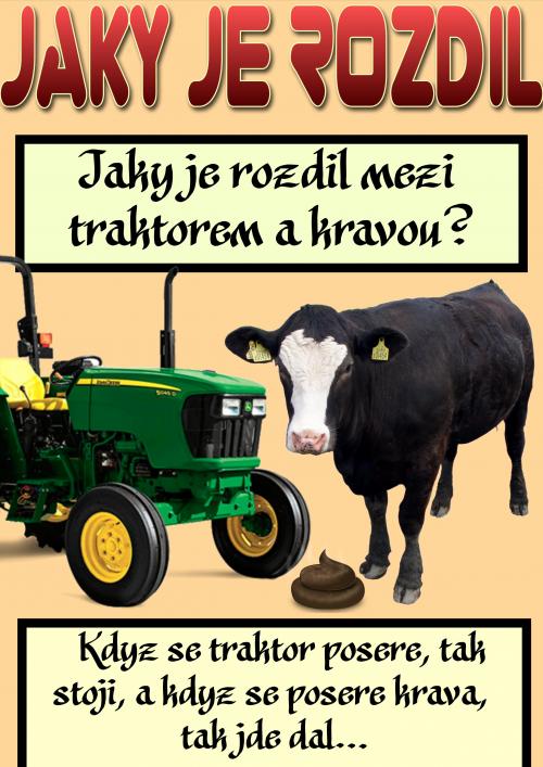  kráva 